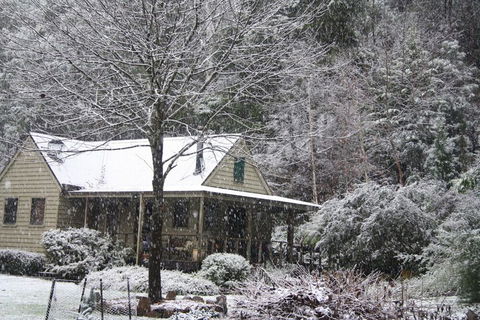Shady Brook Cottages - Accommodation Port Macquarie 1