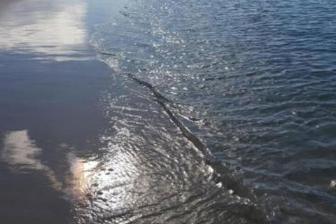 Beachside Husky Waterfront - Accommodation Port Macquarie 7