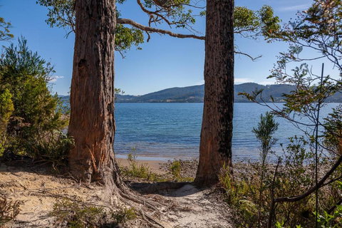 Fairwinds Tasmania - Accommodation Port Macquarie 6