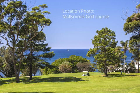 11 Riley St. Stylishly Modern - Accommodation Port Macquarie 4