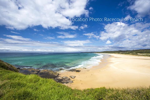 Powell 1A - Accommodation Port Macquarie 5