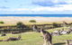 Retro Beach Cottage 681 Murramarang Rd - thumb 1
