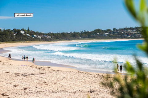 Relaxed Homely Retreat 57 Carroll Ave - Accommodation Port Macquarie 4