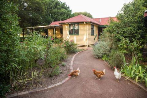 Malakai Farm Stay - Accommodation Port Macquarie 2