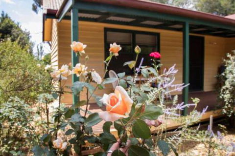 Malakai Farm Stay - Accommodation Port Macquarie 3