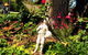 Bindley House B & B Cottage - thumb 3