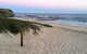 Lighthouse Palms - thumb 4