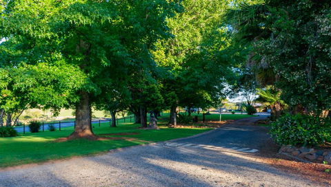 Dorrigo Mountain Holiday Park - Accommodation Port Macquarie 1