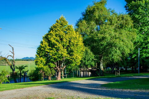 Dorrigo Mountain Holiday Park - Accommodation Port Macquarie 5