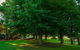Dorrigo Mountain Holiday Park - thumb 6