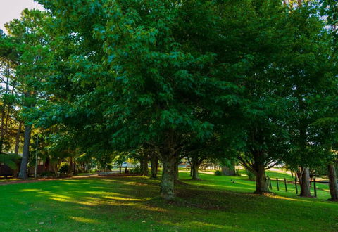 Dorrigo Mountain Holiday Park - Accommodation Port Macquarie 6