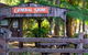 Dorrigo Mountain Holiday Park - thumb 4