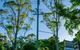 Dorrigo Mountain Holiday Park - thumb 0