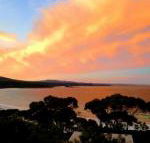 DOLPHIN LOOKOUT COTTAGE amazing views of the Bay of Fires - Accommodation Port Macquarie