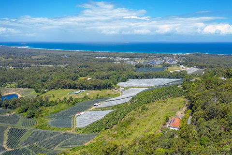 Eagles Loft - Accommodation Port Macquarie 6