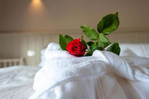 Fellcroft Farmstay - Accommodation Port Macquarie 7