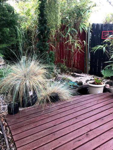 Coastal Garden Shack - Accommodation Port Macquarie 3