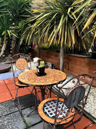 Coastal Garden Shack - Accommodation Port Macquarie 5