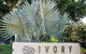 Ivory Villas - thumb 4