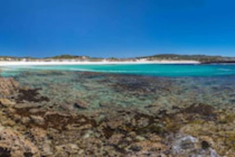 Hanson Bay Wildlife Sanctuary And Cabins - Accommodation Port Macquarie 0
