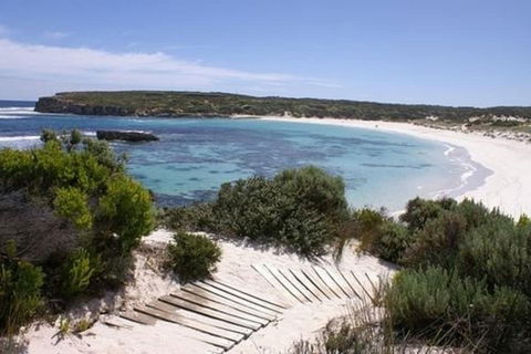 Hanson Bay Wildlife Sanctuary And Cabins - Accommodation Port Macquarie 1