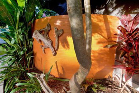 Driftwood Villa - Accommodation Port Macquarie 4