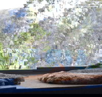 Driftwood - Accommodation Port Macquarie
