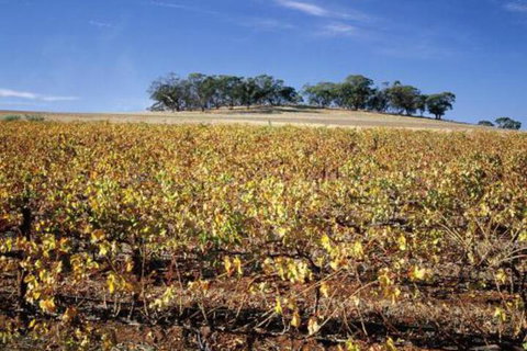 Lucys Cottage - Accommodation Port Macquarie 7