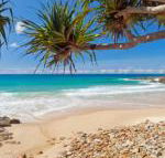 Coolum Classic Beach Shack Pet Friendly