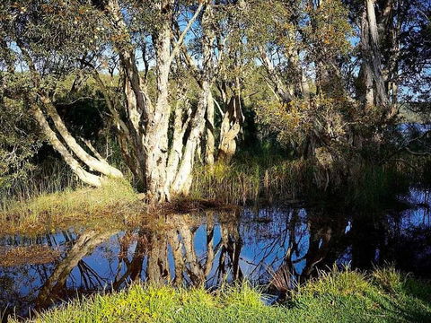 Wisteria Cottage On The Lagoon / Beach - Accommodation Port Macquarie 4