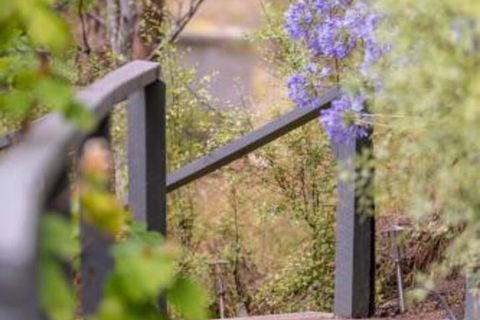 In The Valley - Accommodation Port Macquarie 5
