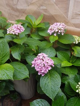 Brae Mar - Accommodation Port Macquarie 5