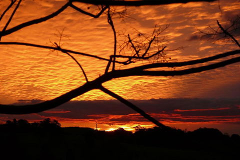 Cedarview Bed & Breakfast - Accommodation Port Macquarie 5