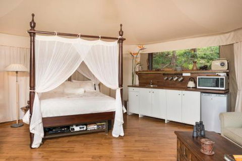 Clouds Safari - Accommodation Port Macquarie 4