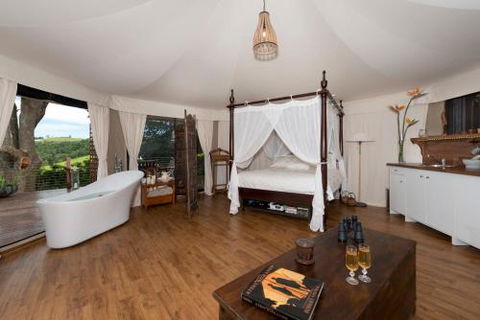 Clouds Safari - Accommodation Port Macquarie 1