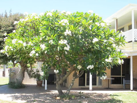 Kalbarri Riverfront Unit - Accommodation Port Macquarie 3