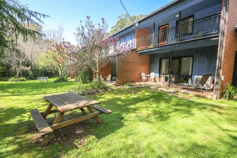 Cedar Holiday Units Apartment 1 - Accommodation Port Macquarie 3