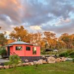 Zuny Yurt - Accommodation Port Macquarie 0