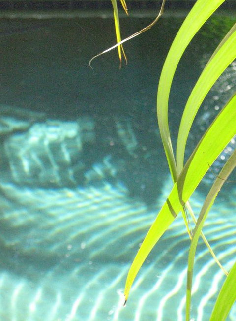 Artizen - Accommodation Port Macquarie 2