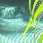 Artizen - Accommodation Port Macquarie 0