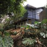 SerenityatMontville - Accommodation Port Macquarie 0