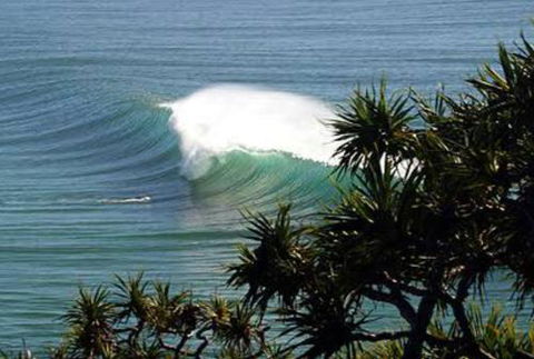 Cabarita Studio - Accommodation Port Macquarie 0