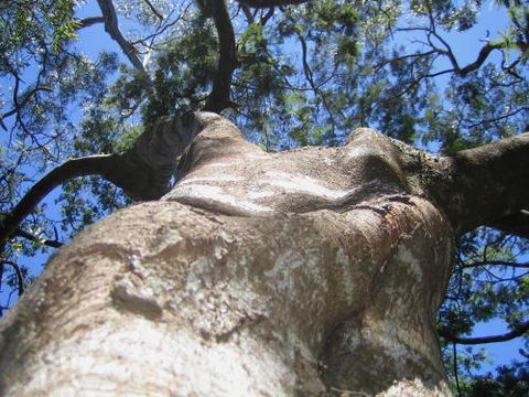 Arthur Riverfront & Sea Lodge Downstream - Accommodation Port Macquarie 4