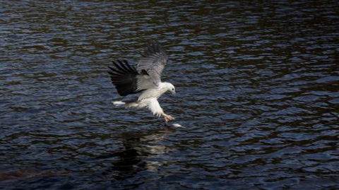 Arthur Riverfront & Sea Lodge Downstream - Accommodation Port Macquarie 3