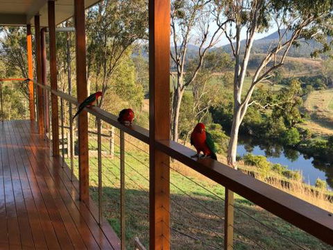 Creekbend - Accommodation Port Macquarie 6