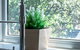 Olinda Two Bedroom Apartment B2 - thumb 3