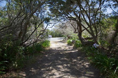 Dreamlands - Accommodation Port Macquarie 5
