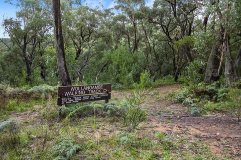 THE TEACHERS COTTAGE - Accommodation Port Macquarie 5