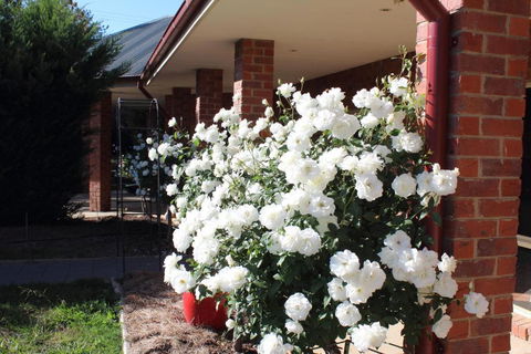 Gundaroo Manor Bed & Breakfast - Accommodation Port Macquarie 1