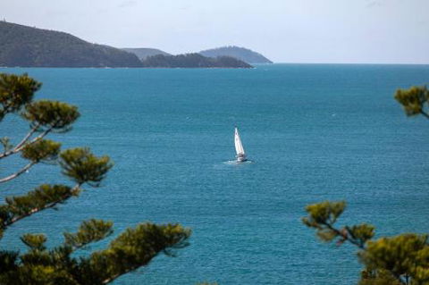 NEW Northcape 1 Ocean Front 2 Bedroom Choose Between 2 Properties - Accommodation Port Macquarie 2